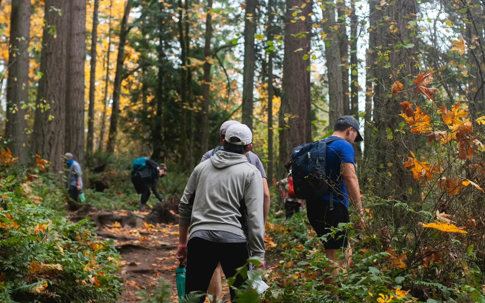 A small group following a guide along an autumn woodland trail