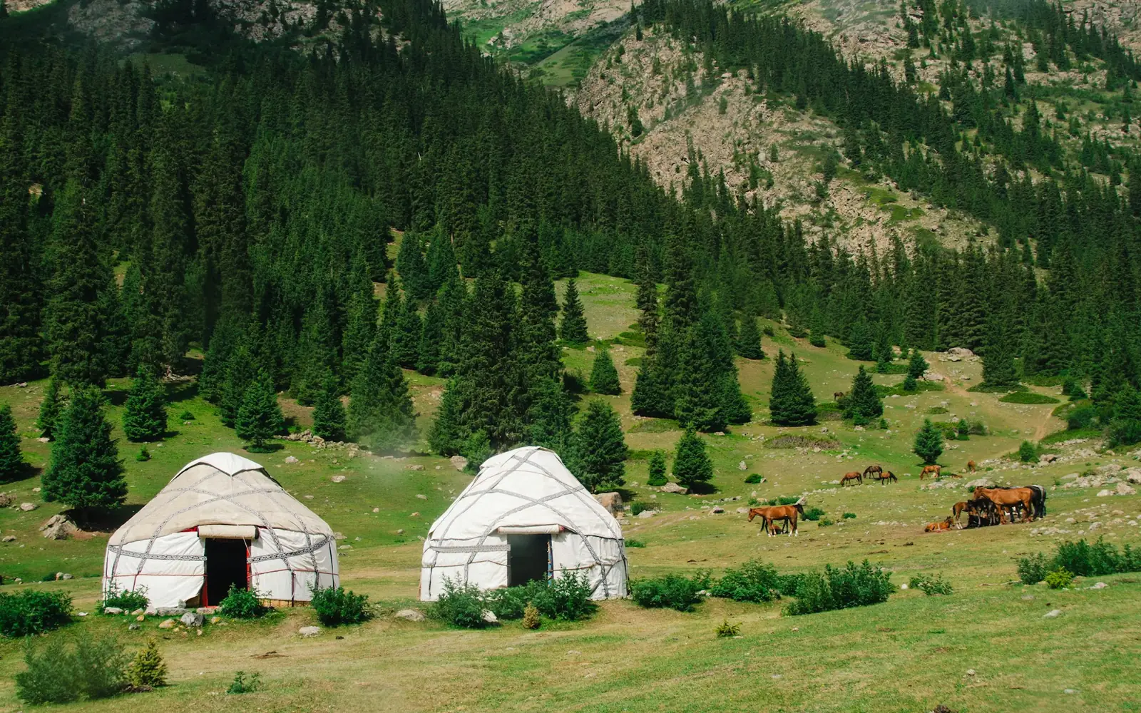 Two canvas yurts pitched on a green valley floor below wooded hills