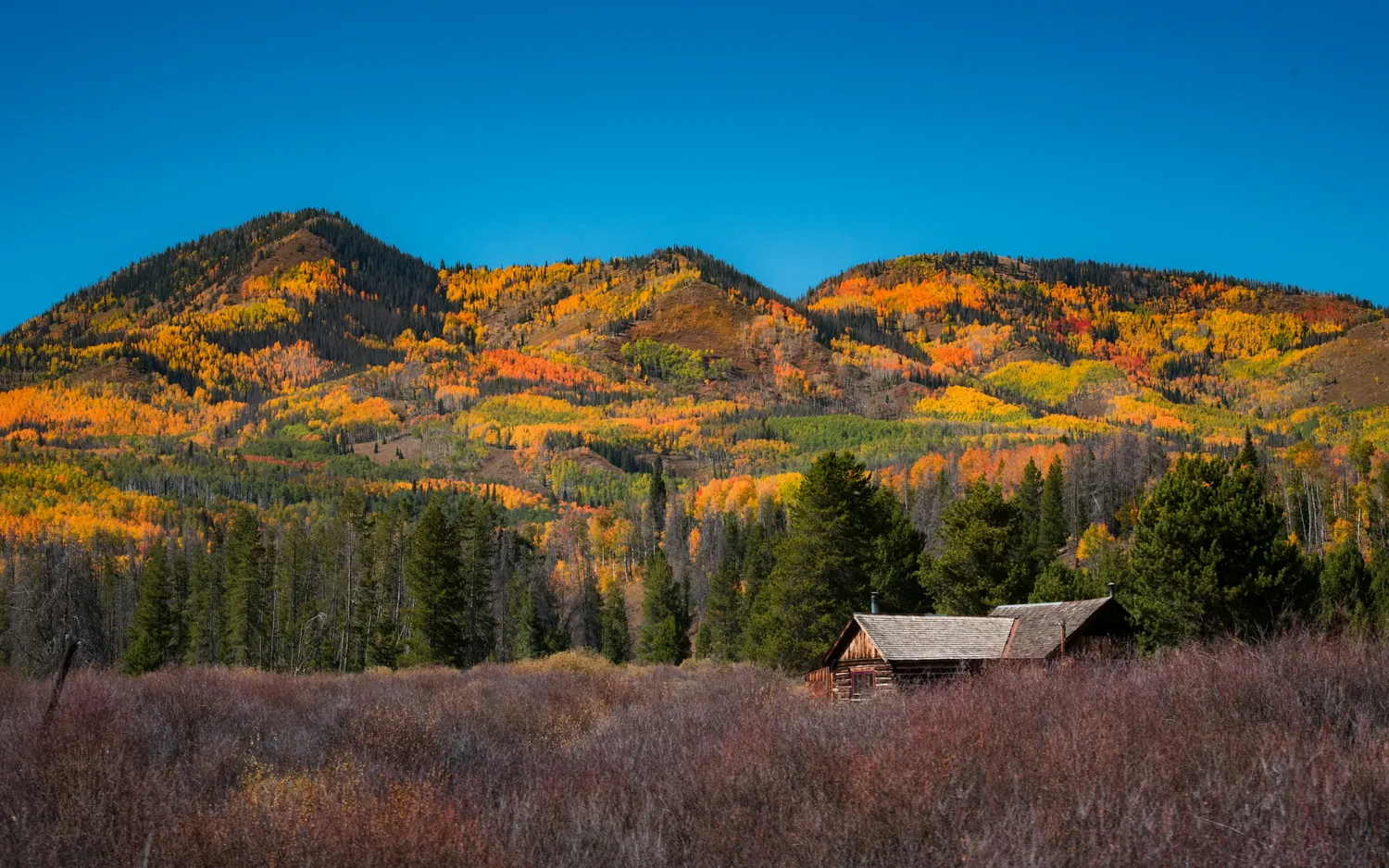 A timber cabin standing alone below an autumn mountainside