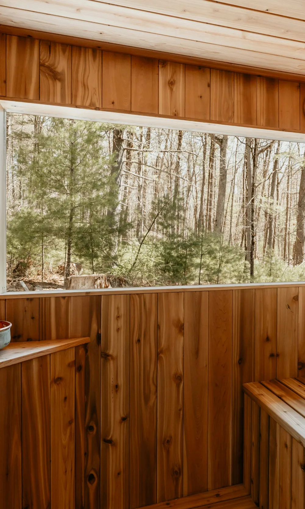 A cedar-lined sauna with a long window looking into bare forest