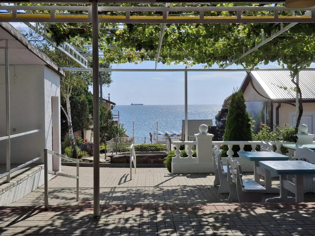 A vine-shaded terrace of tables looking out to the sea