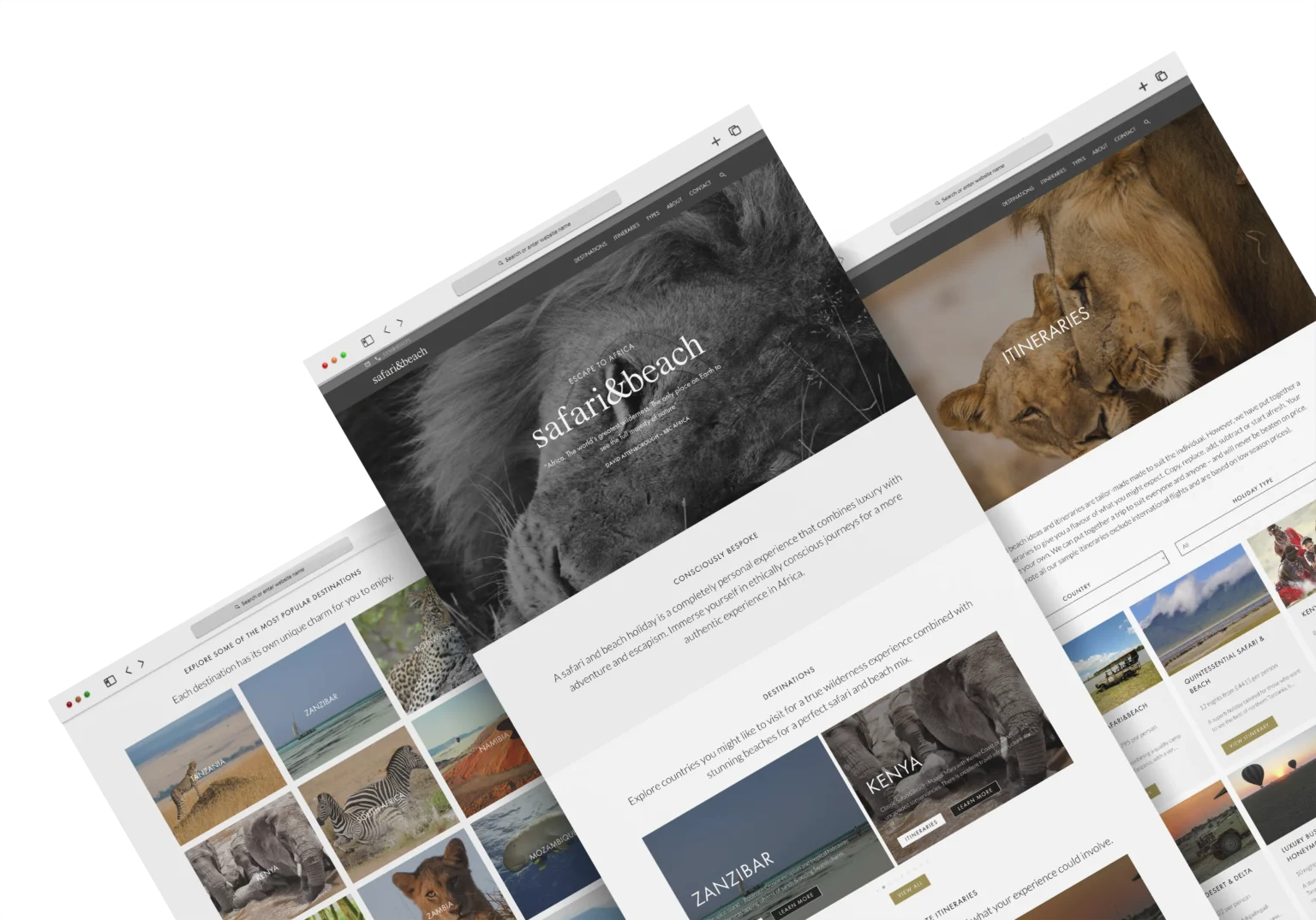 Safari & Beach — UK-based, Tanzania-specialist safari operator with a 16-year track record